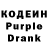 Кодеин Purple Drank Gamer 56