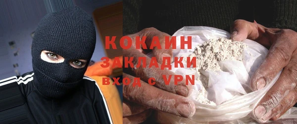 твердый Михайлов