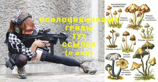 мяу мяу мука Волоколамск