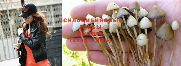 ALPHA PVP Медногорск