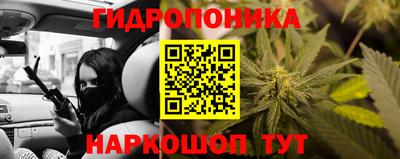 индика Балашиха