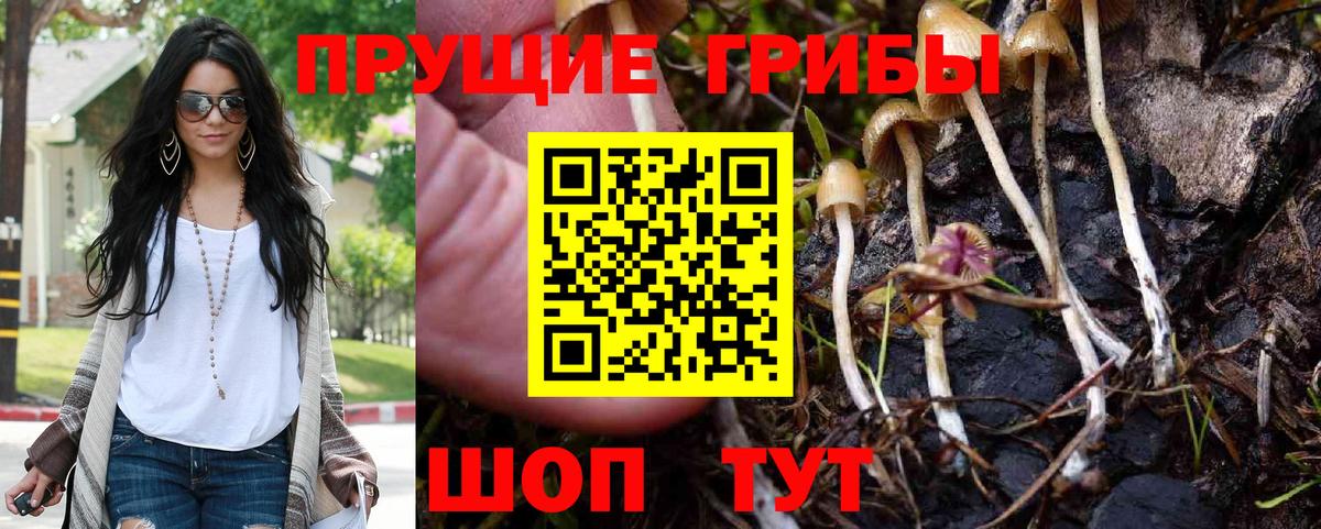 Выкса  Галлюциногенные грибы прущие грибы  Вход с VPN 