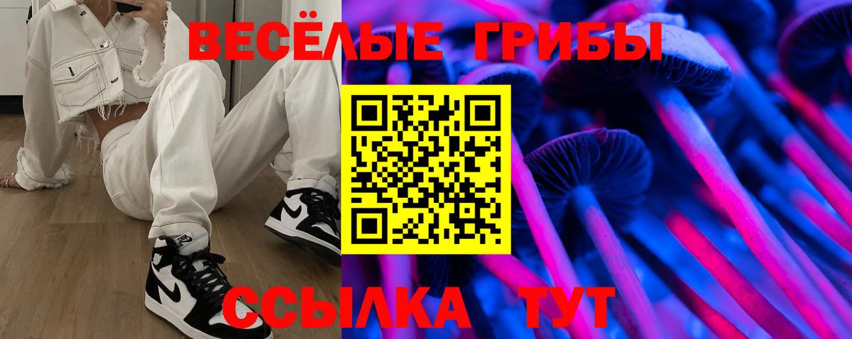 Псилоцибиновые грибы мухоморы  Выкса  Псилоцибиновые грибы Psilocybe 