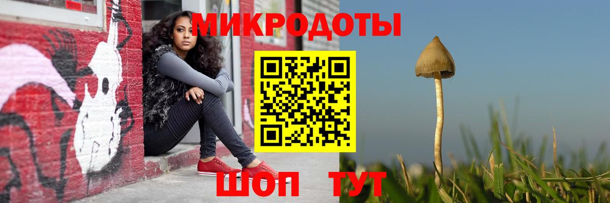 Псилоцибиновые грибы MAGIC MUSHROOMS Выкса
